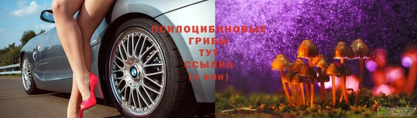 мдма Богородск