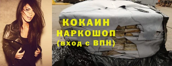 mdpv Богородицк